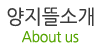 양지뜰소개